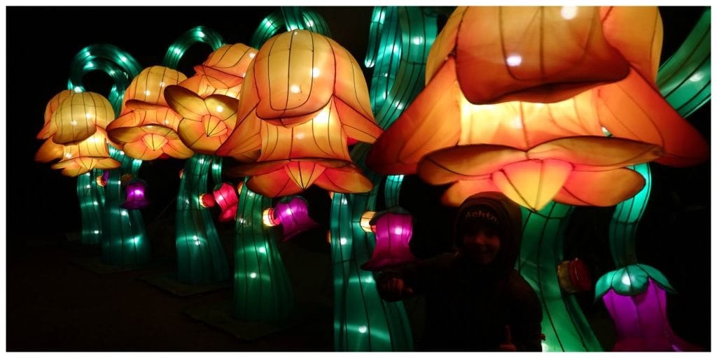 Antwerpen China Light Festival