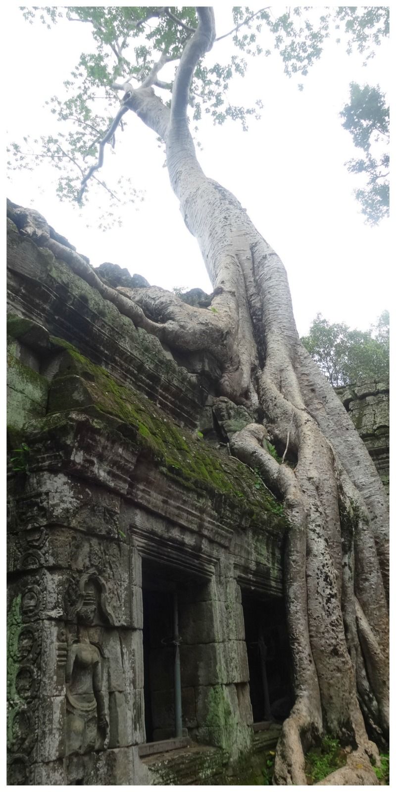 Cambodja Thailand reis Angkok Siemreap Angkor