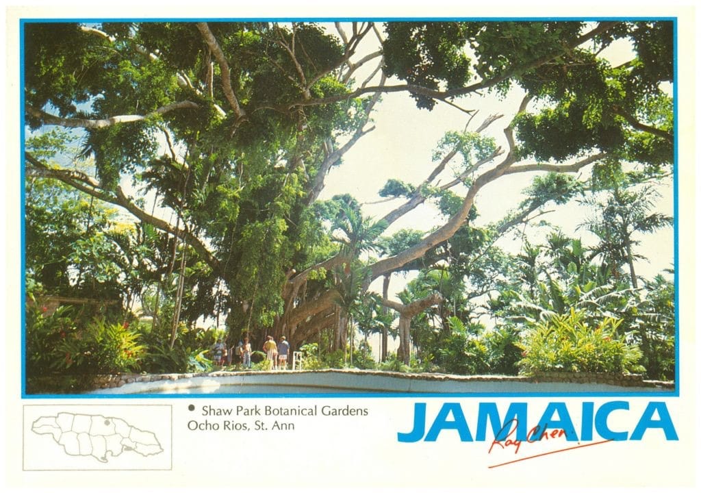 Caribisch gebied Jamaica