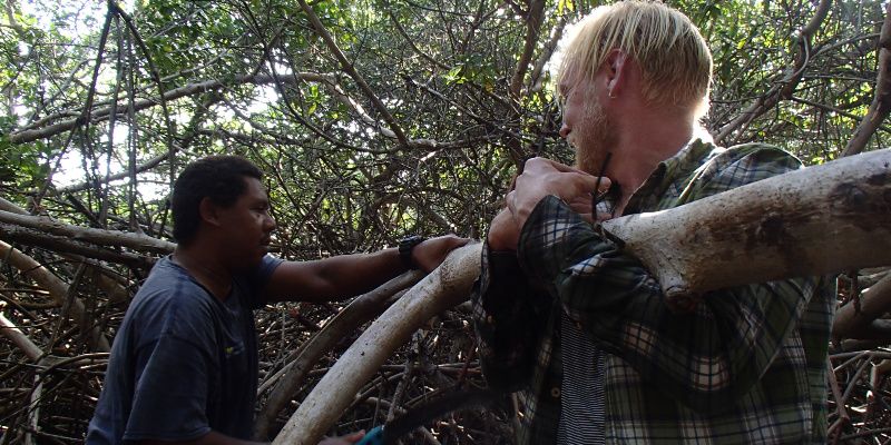 Elke en Jan zijn guesthousesitters op Bonaire Vrijwilligerswerk in de mangroves Bonaire