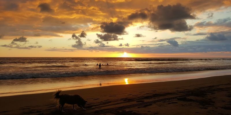 La Pura Vida in Costa Rica Playa Linda