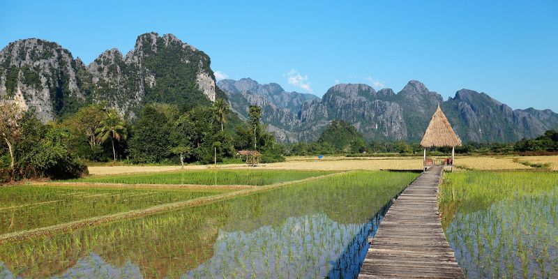 Local Life Perry leeft in Laos Vang vieng rijstvelden