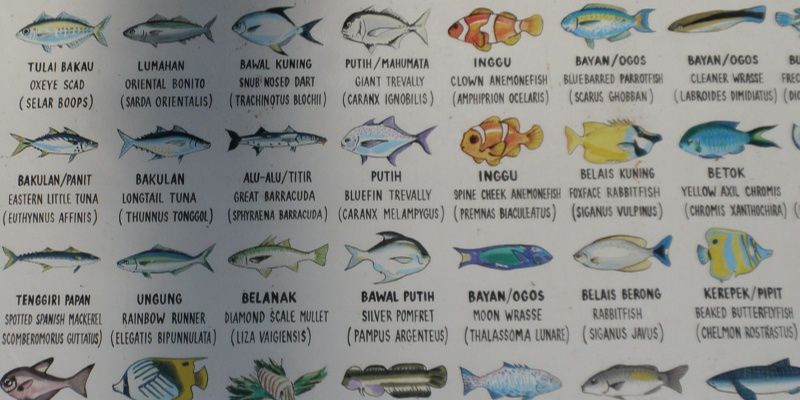 Maleisie vissen in de wateren van Tunku Abdul Rahman National Park