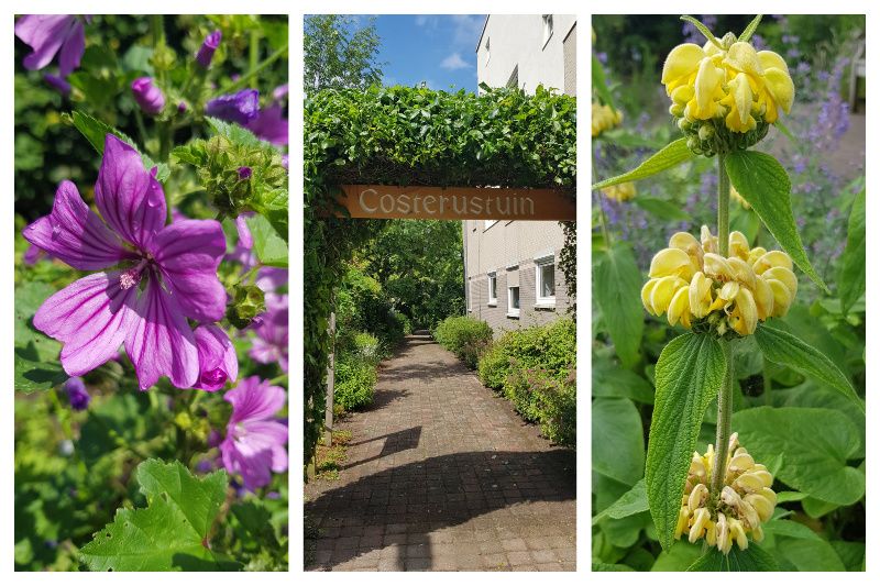 Nederland Hilversum Botanische tuin
