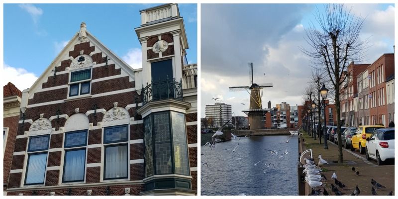 Nederland Rotterdam wandeling Gegarandeerd Onregelmatig 