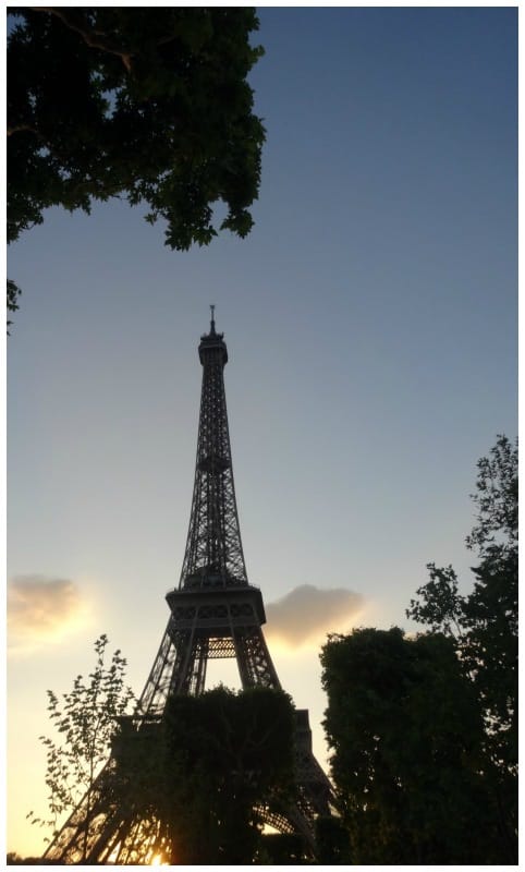Picknicken in Parijs Eiffel toren schemer