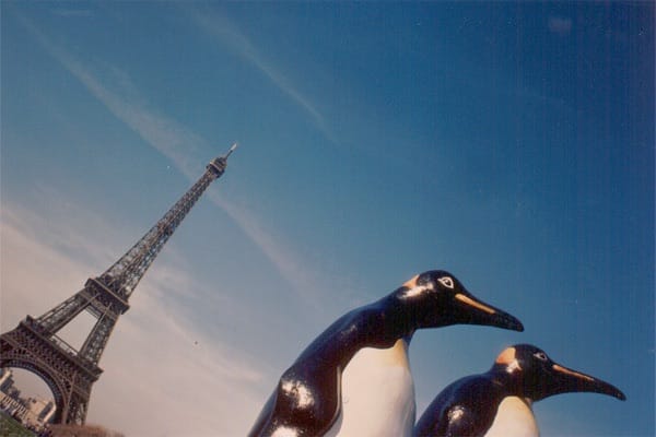 Het Verlangen Van De Pinguins Parijs Eiffeltoren Willy Puchner