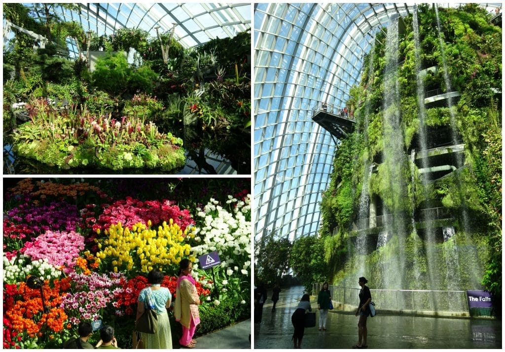 Zo groen is Singapore Gardens by the Bay2