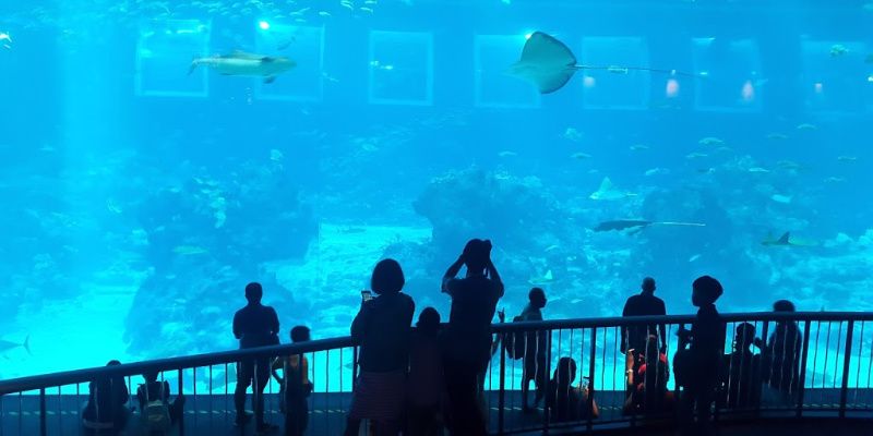 Singapore met kinderen aquarium