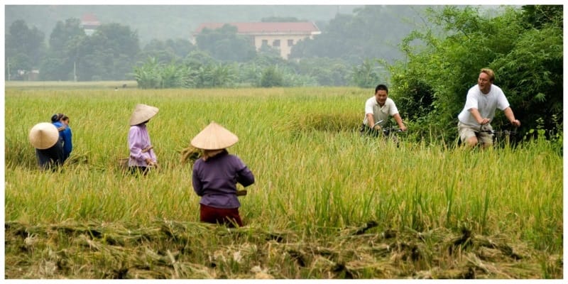 Vietnam fietsen rijstvelden
