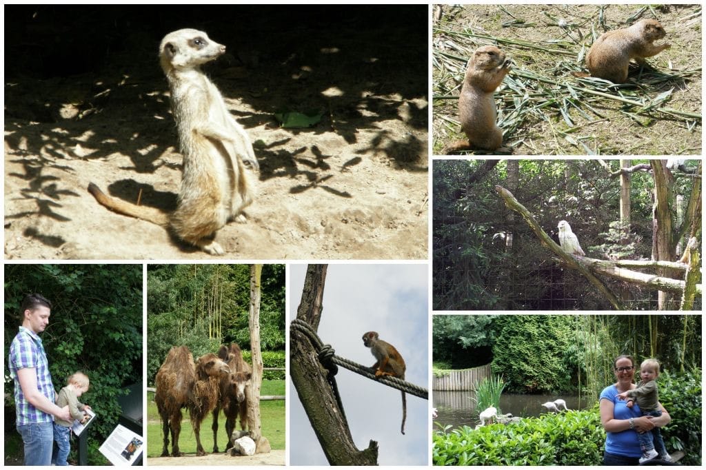 Zoo_parc_Overloon